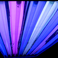 Collection image for: Replacement Bulbs