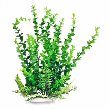 Bacopa w/weighted base Bag & Header, Green