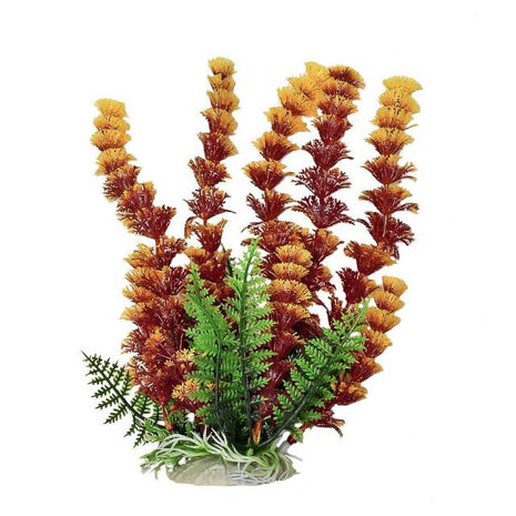 Cabomba w/weighted base Bag & Header, Fire - Aquatica Superstore