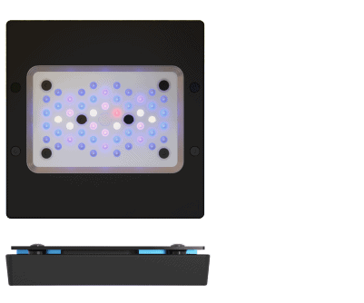EcoTech Marine Radion Blue XR15 LED Light - Gen 6