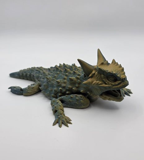 Horned Lizard