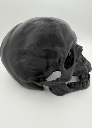 Aquarium Skull Cave Ornament - Aquatica Superstore