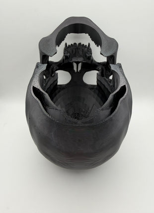 Aquarium Skull Cave Ornament - Aquatica Superstore
