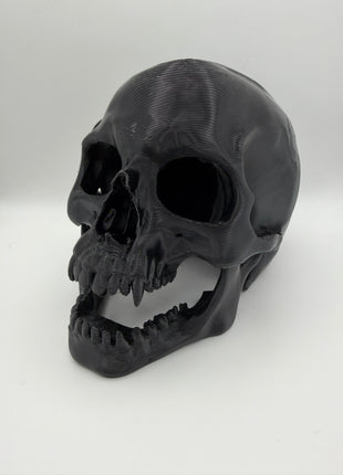 Aquarium Skull Cave Ornament - Aquatica Superstore