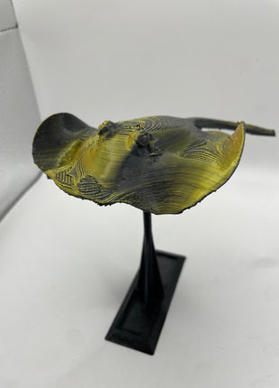 3d Printed Manta Ray - Aquatica Superstore