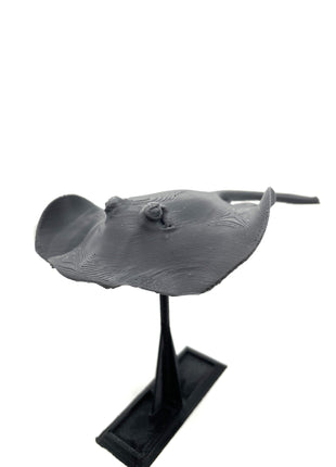 3d Printed Manta Ray - Aquatica Superstore