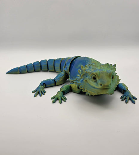 Bearded Dragon