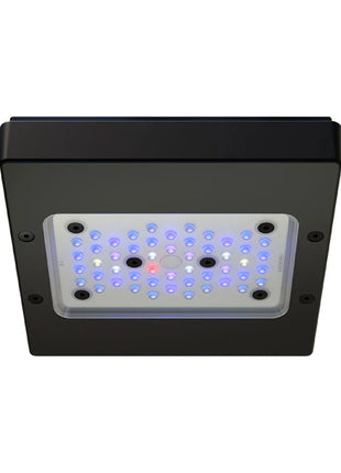 EcoTech Radion XR15W Pro LED Light (G6) - Aquatica Superstore