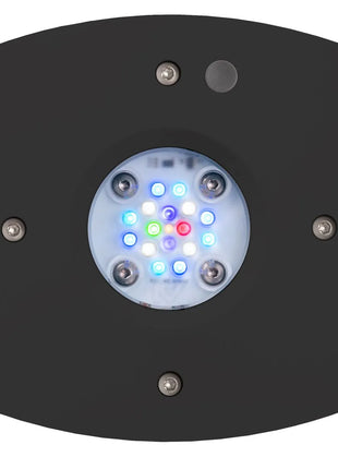 Prime 16 HD LED Light Fixture Reef - Aquatica Superstore