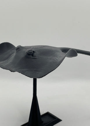 3d Printed Manta Ray - Aquatica Superstore