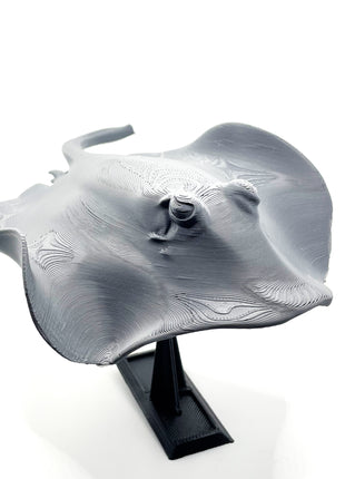 3d Printed Manta Ray - Aquatica Superstore