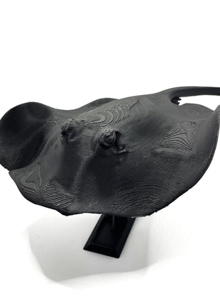 3d Printed Manta Ray - Aquatica Superstore