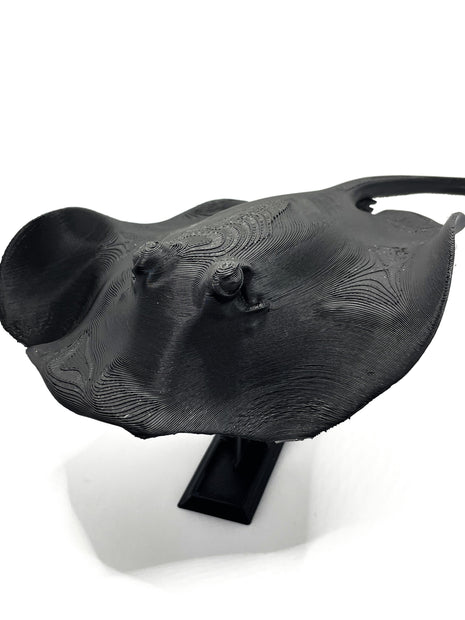 3d Printed Manta Ray - Aquatica Superstore
