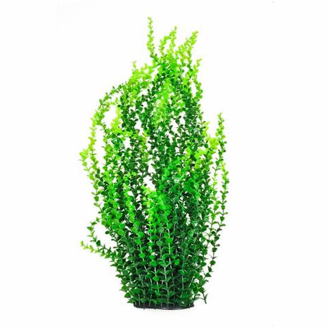 Aquatop 30" Tall Dark Green Aquarium Plant w/ Weighted Base - Aquatica Aquarium Gallery Fish Store Cleveland Ohio