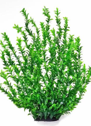 Aquatop 31" Broad Leaf Dk. Green Aquarium Plant w/ Weighted Base - Aquatica Aquarium Gallery Fish Store Cleveland Ohio
