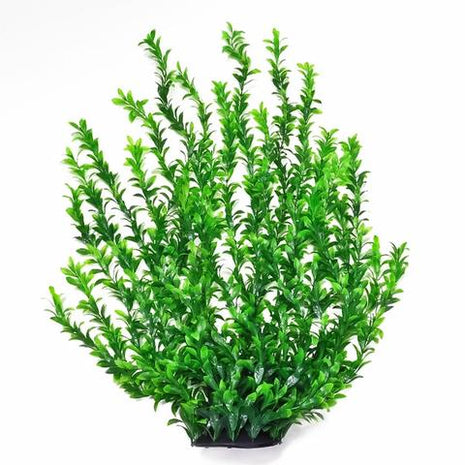 Aquatop 31" Broad Leaf Dk. Green Aquarium Plant w/ Weighted Base - Aquatica Aquarium Gallery Fish Store Cleveland Ohio