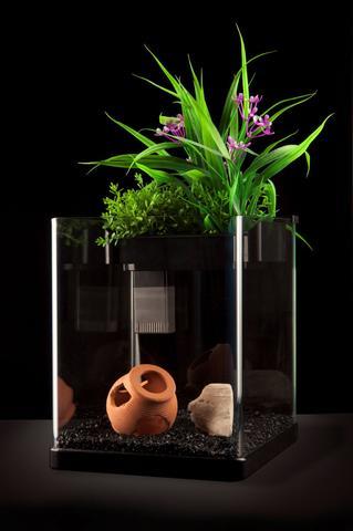 Aquatop Nanoponic Aquarium System - Aquatica Aquarium Gallery Fish Store Cleveland Ohio