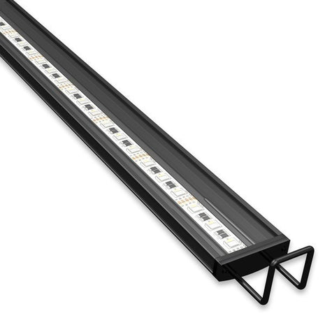 Reno Saltwater LED Strip Light - Aquatica Aquarium Gallery Fish Store Cleveland Ohio