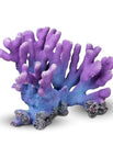 Purple/Blue Ridge
