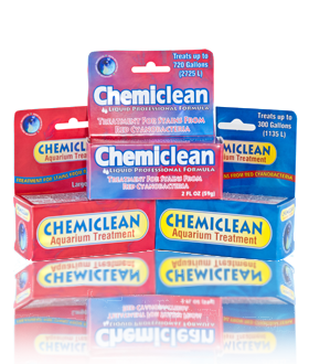 Boyd Chemiclean - Aquatica Aquarium Gallery Fish Store Cleveland Ohio