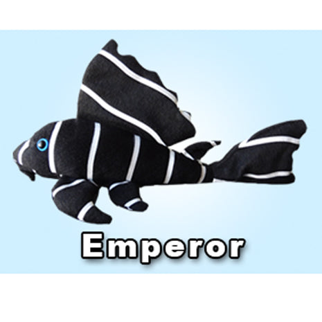 GreenPleco Emperor - Aquatica Aquarium Gallery Fish Store Cleveland Ohio