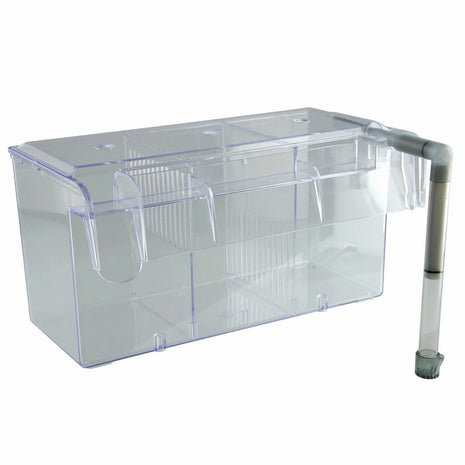 Ista Hang-on Large Breeding Box - Aquatica Aquarium Gallery Fish Store Cleveland Ohio