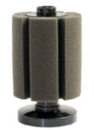 Rectangle Bio Foam (Small)